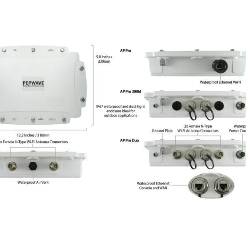 Peplink AP Pro Duo