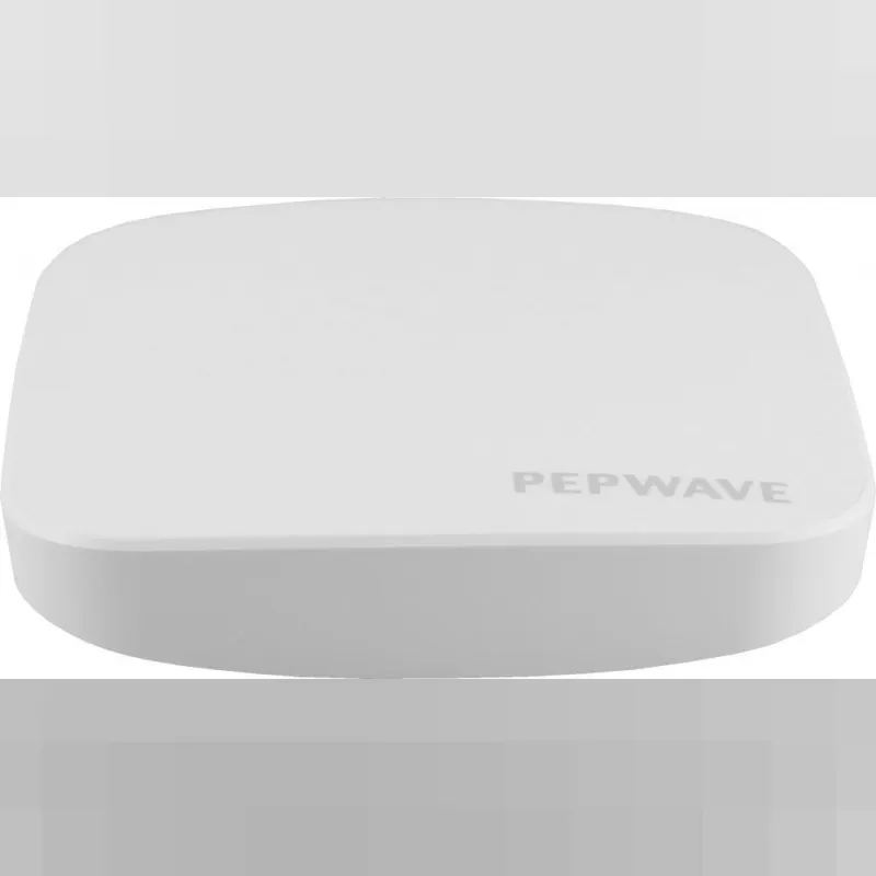 Peplink AC Mini